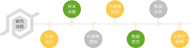 研究流程
