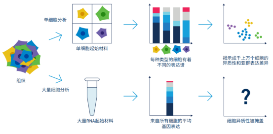 微信圖片_2025-06-27_172400_895
