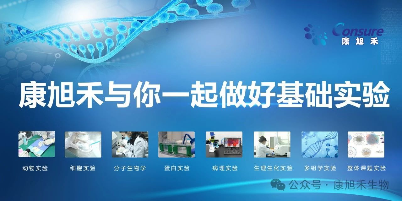 微信圖片_2025-06-27_155402_376