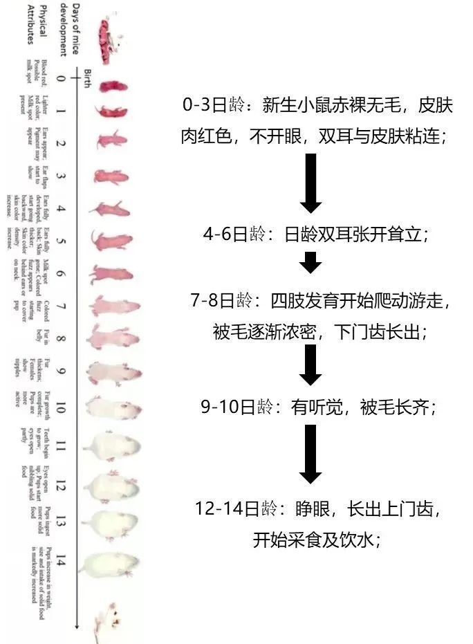 微信圖片_2025-07-01_170328_041