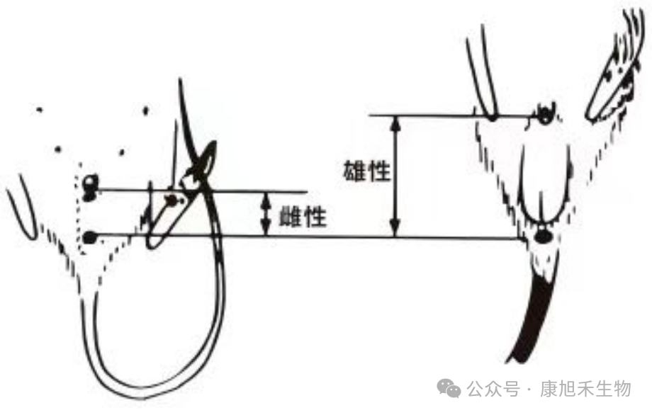 微信圖片_2025-07-01_171447_537